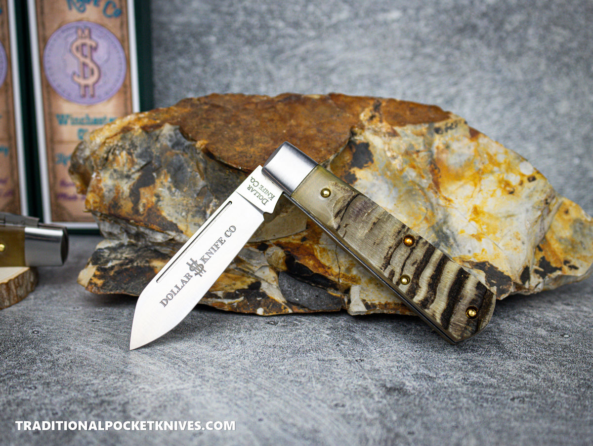 Cooper Cutlery Dollar Knife Co. Rams Horn No Shield Jack (RH NS)