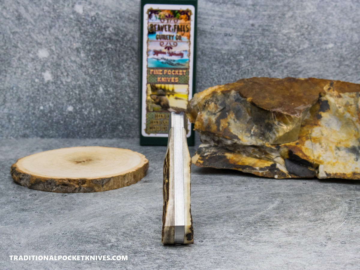 Cooper Cutlery Beaver Falls Cutlery Co. Stag Jack #1 (STAG)