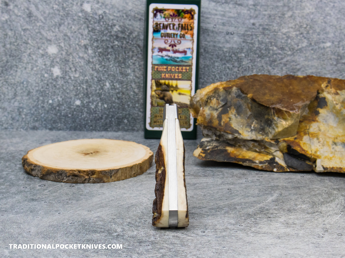 Cooper Cutlery Beaver Falls Cutlery Co. Stag Jack #2 (STAG)