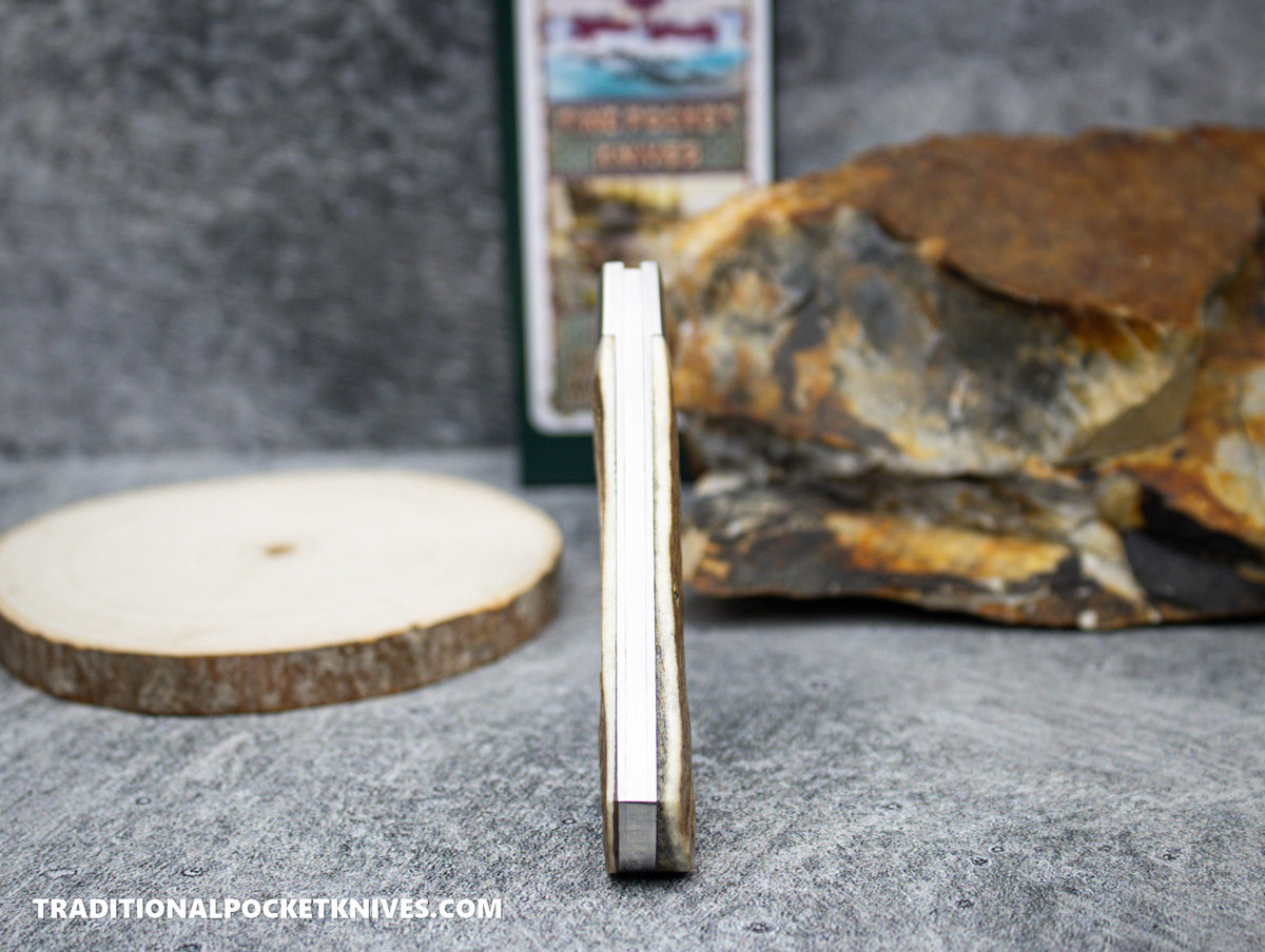Cooper Cutlery Beaver Falls Cutlery Co. Stag Jack (S) #6