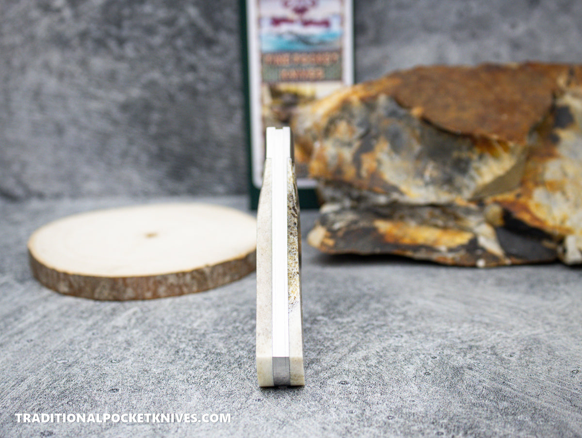 Cooper Cutlery Beaver Falls Cutlery Co. Stag Jack (S) #7