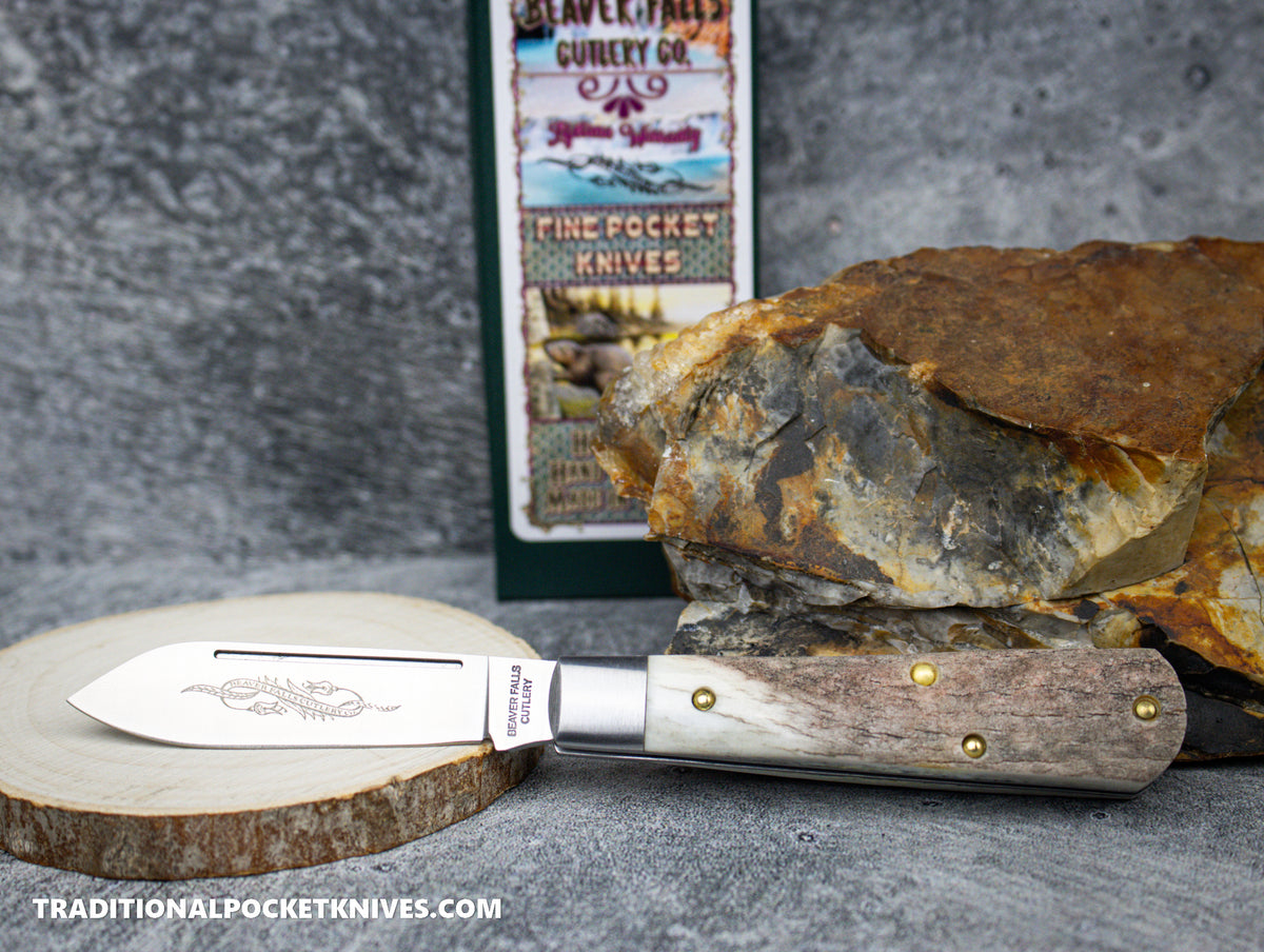 Cooper Cutlery Beaver Falls Cutlery Co. Stag Jack (S) #8