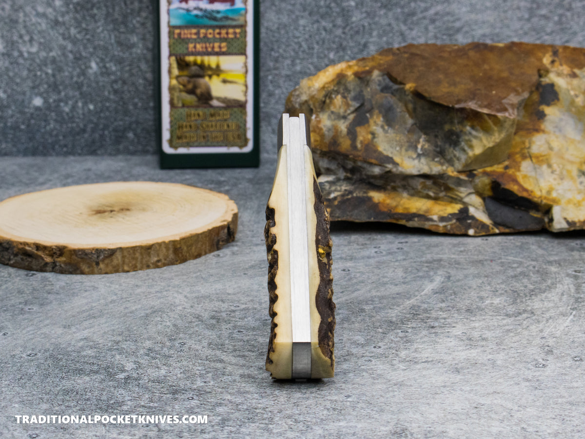 Cooper Cutlery Beaver Falls Cutlery Co. Stag Jack (STAG)