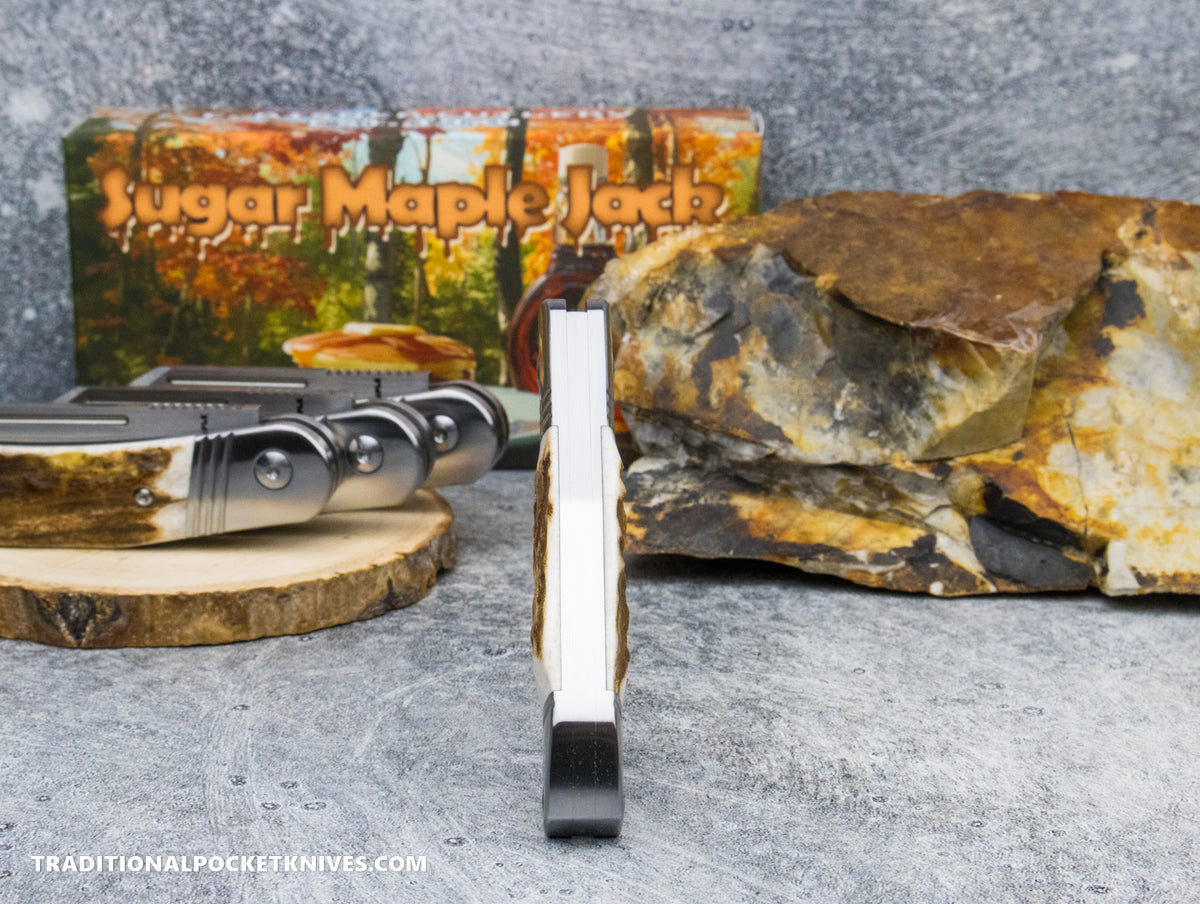 Sugar Maple Jack: Stag - Modified Sheepsfoot 154CM