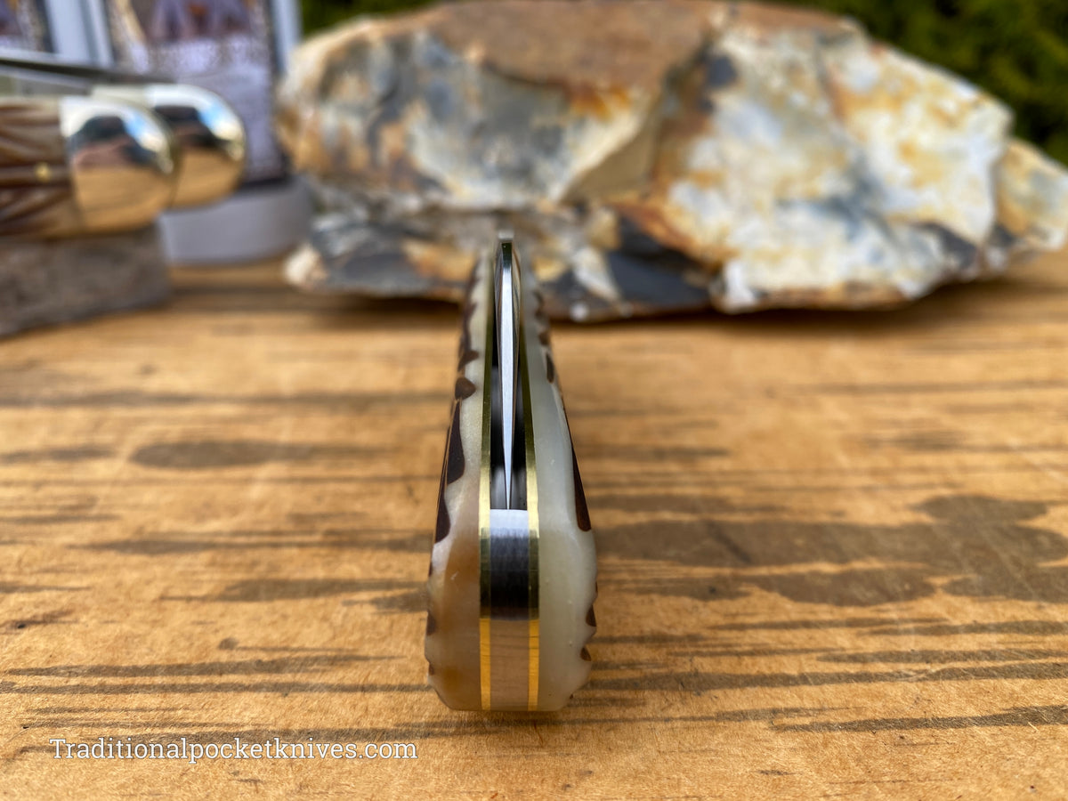 Great Eastern Cutlery #363122 Tidioute Cutlery Toenail Clipper India Jigged Bone