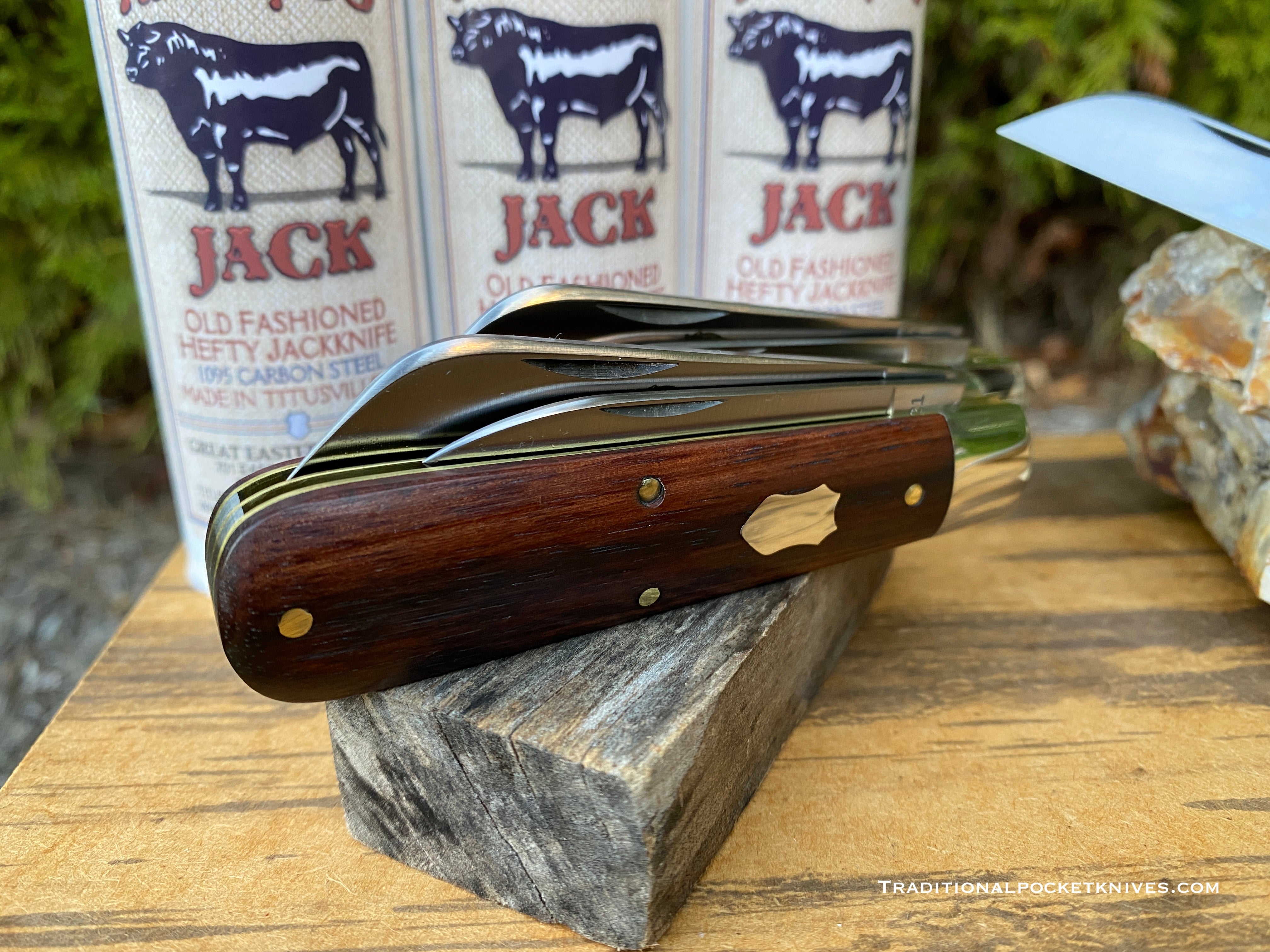 Great Eastern Cutlery #863221 Tidioute Cutlery Angus Jack Macassar 